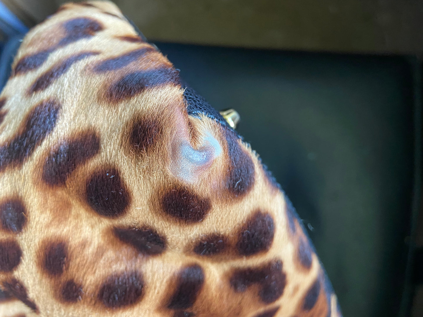 Leopard Calfskin Bowling Bag